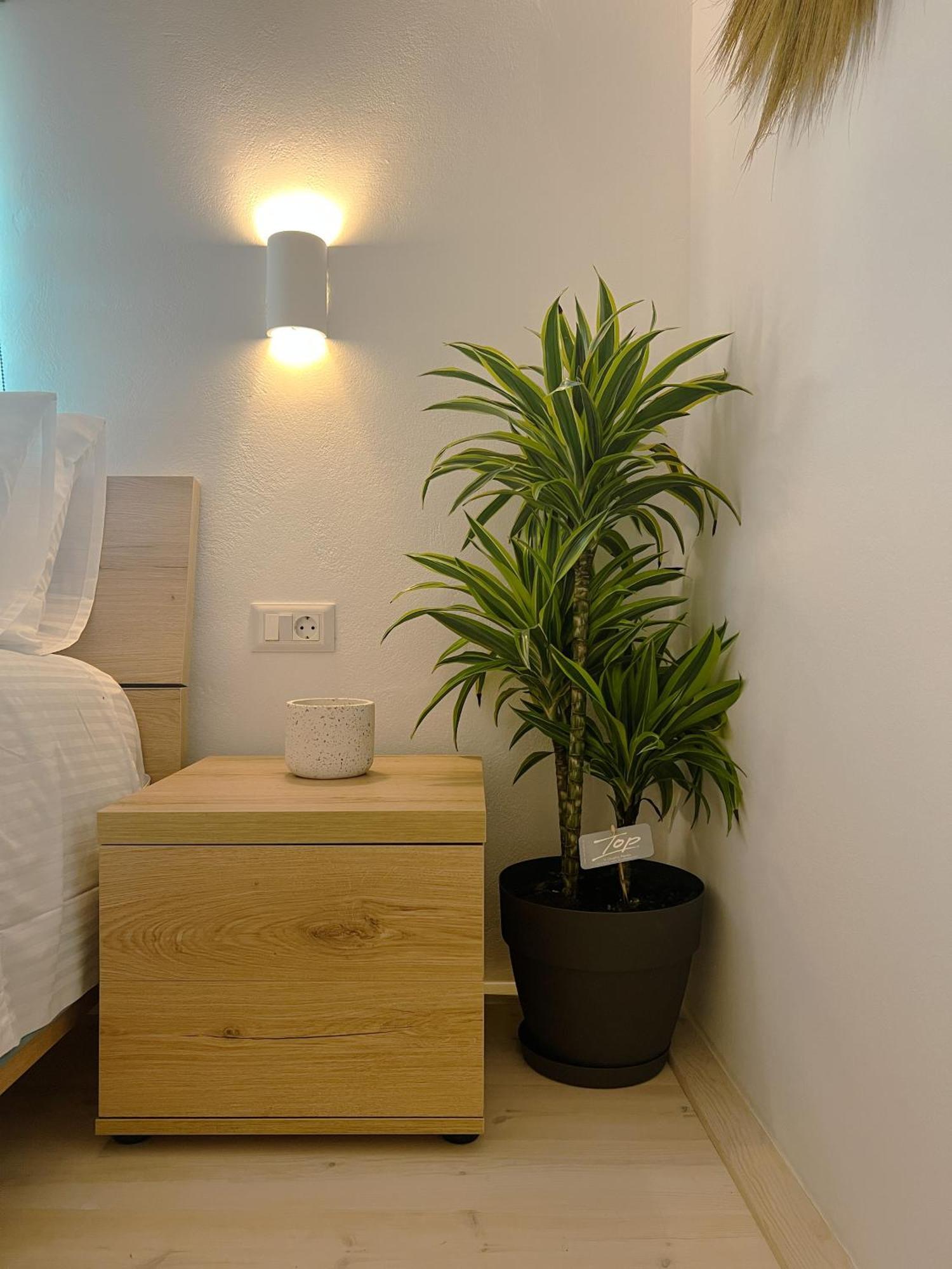 Apartment Kerdos Kalyves